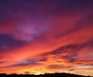 Maria, Gij morgenrood!