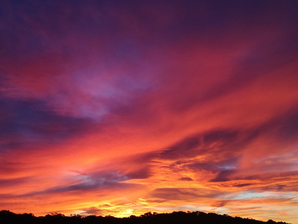 Maria, Gij morgenrood!