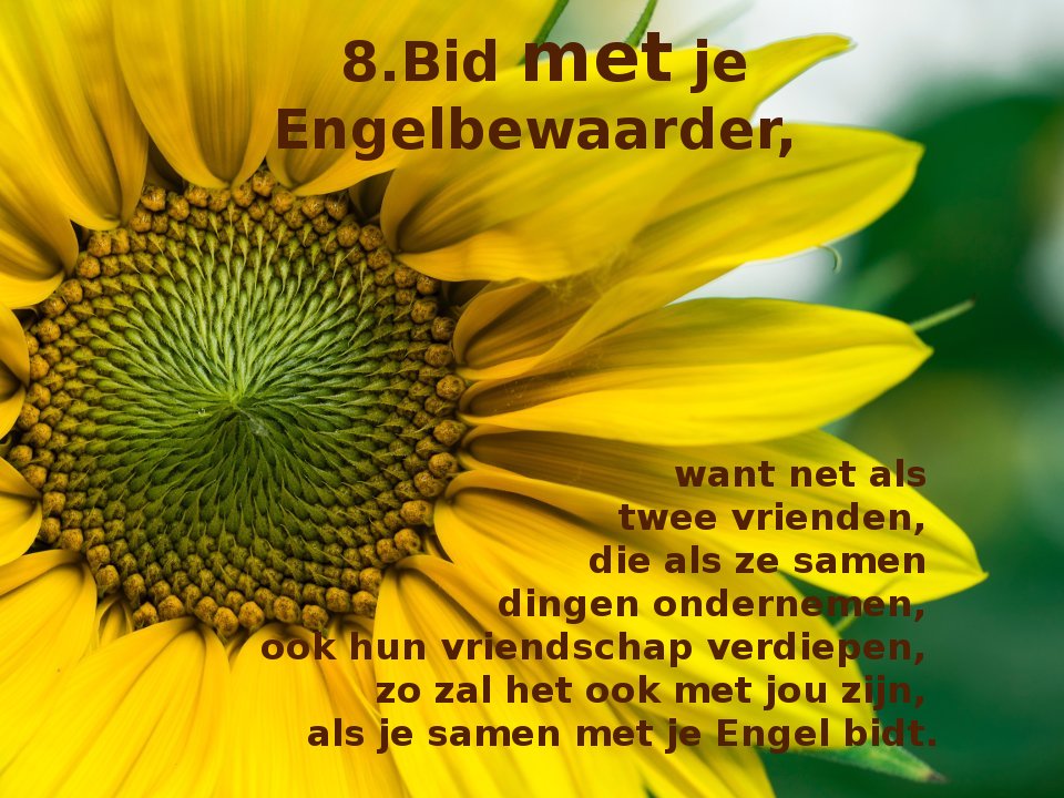 8. Bid met..