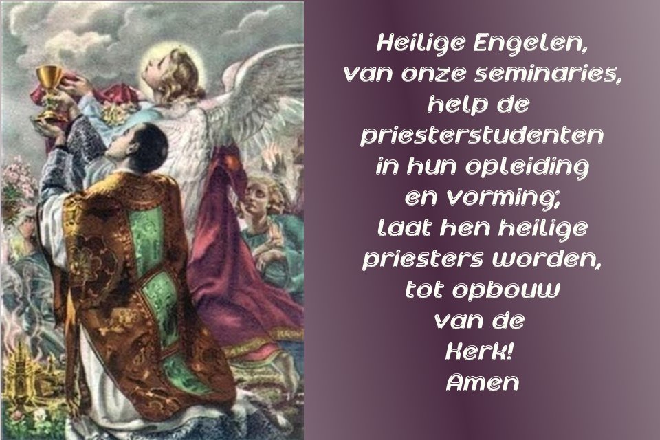 Verdediger van het priesterschap