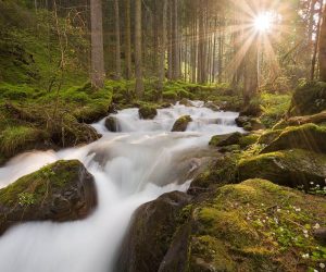 De kracht van het wijwater! (2)