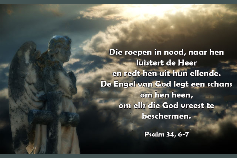 Die roepen in nood…