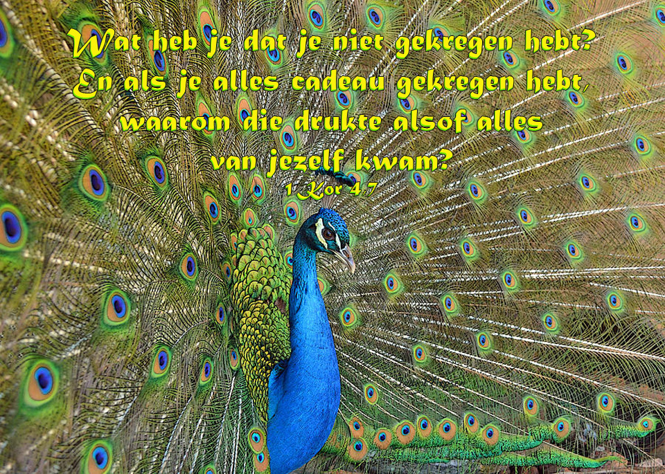 Geen afgunst