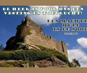 Vesting