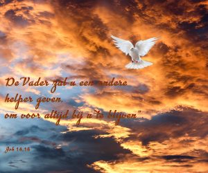 9e dag van de novene: Blijven