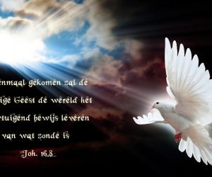 7e dag van de novene: Heiligmaker