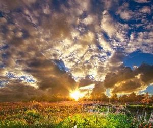 “Een man in linnen gekleed” (4)