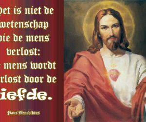 Liefde
