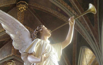 NIEUW! NIEUW! NIEUW!